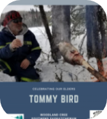 tommy-bird